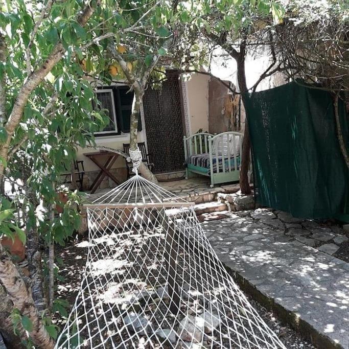 Casa Natasa Apartman Oziász Kültér fotó