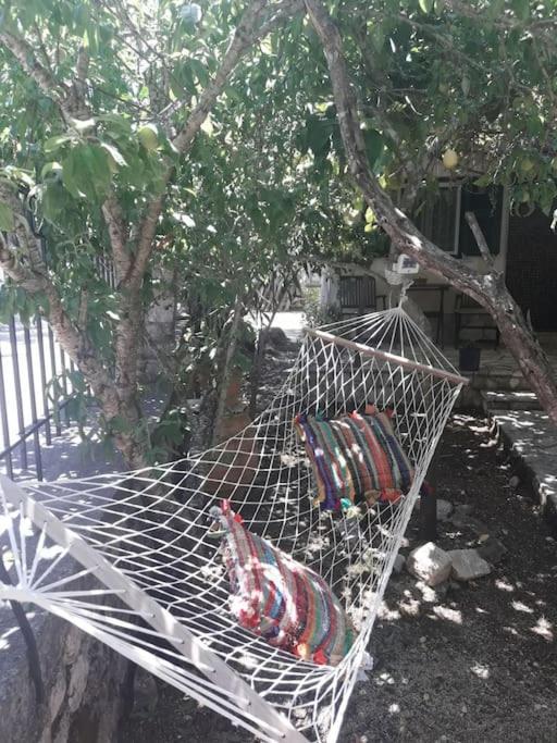 Casa Natasa Apartman Oziász Kültér fotó