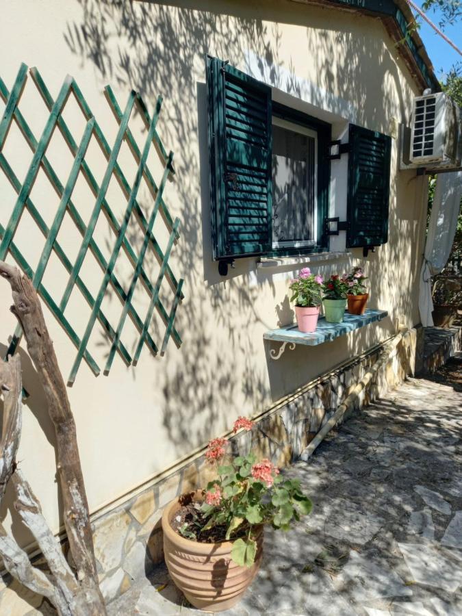 Casa Natasa Apartman Oziász Kültér fotó