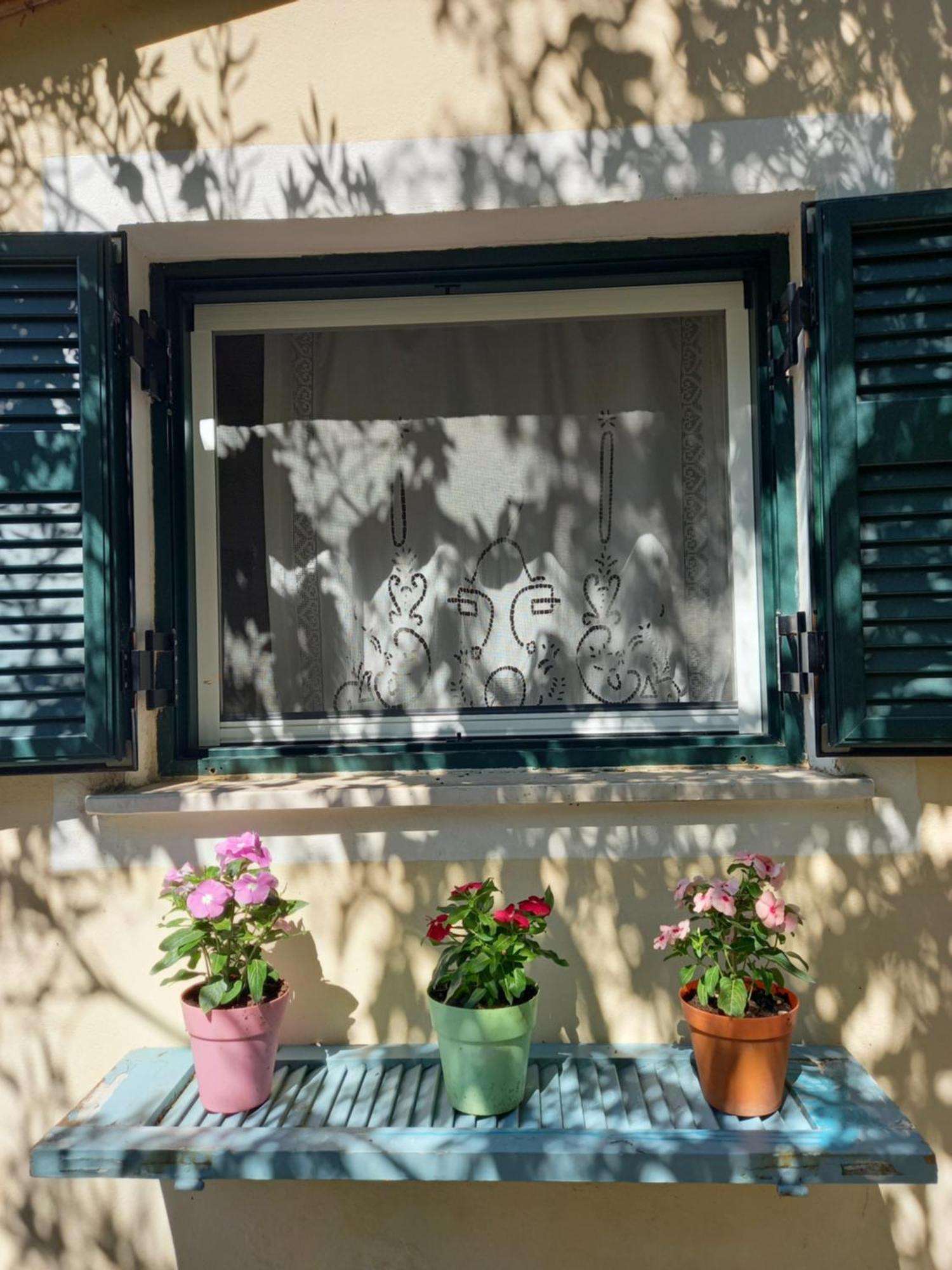Casa Natasa Apartman Oziász Szoba fotó